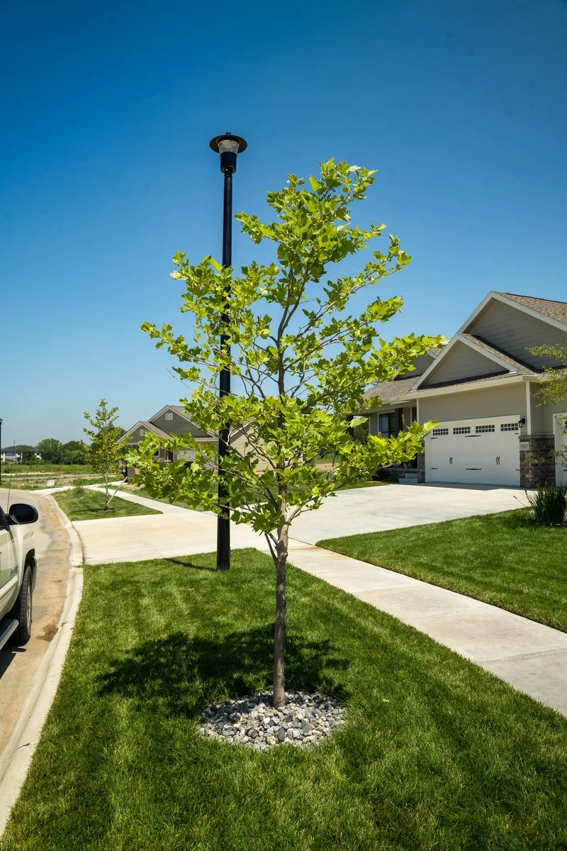 Property line rock bed Lincoln NE