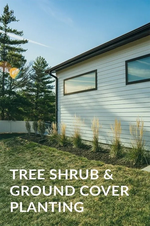 Tree and shrub planting Lincoln NE